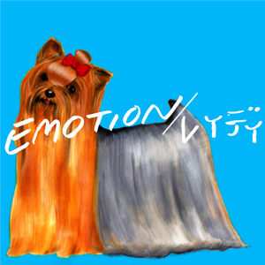 配信限定シングル「Emotion / レイディ」